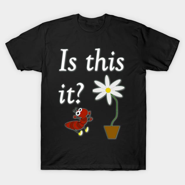 Is This It? T-Shirt by rosmaire